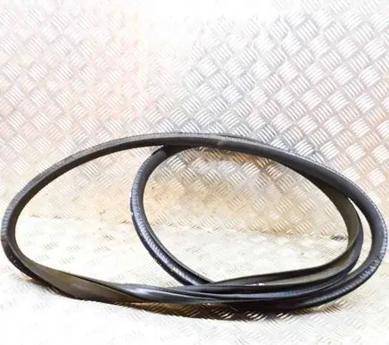 Jaguar I-Pace Rubber seal rear door J9D3253A11A