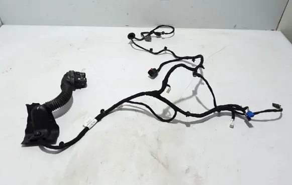 Other wiring loom
