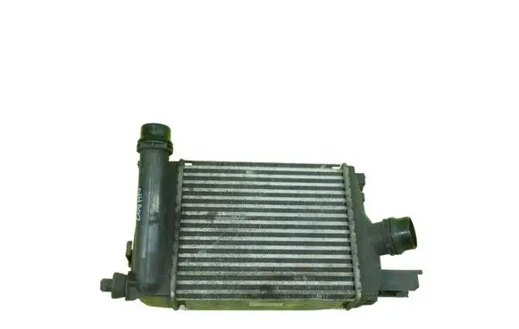 Dacia Logan II Intercooler radiator 17AB117
