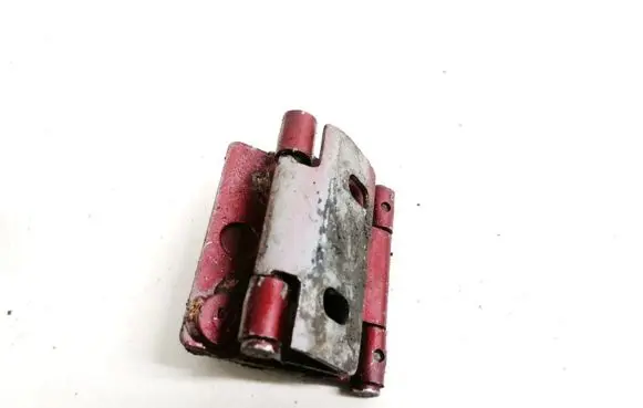 Rear door lower hinge