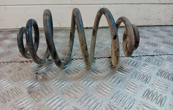 Volkswagen PASSAT B5 Rear coil spring