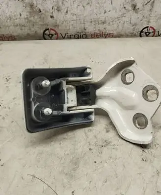 Peugeot Expert Rear door lower hinge 9820017880