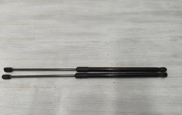 Tailgate/trunk strut/damper