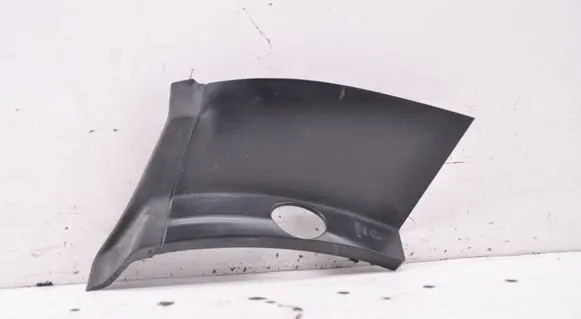 Rear/tail light trim molding