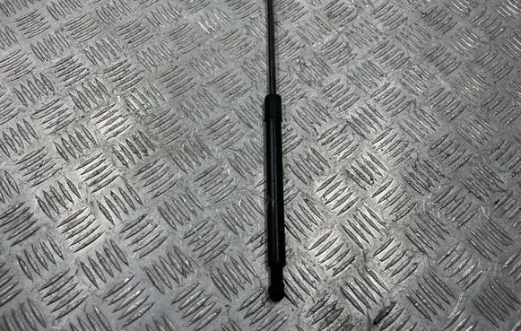 Front bonnet/hood damper/strut