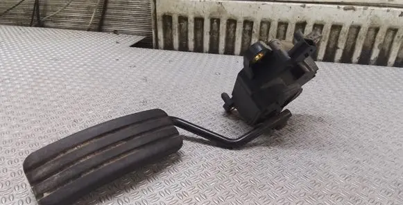 Accelerator throttle pedal