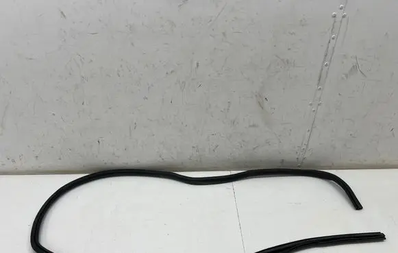 Ford Mustang Mach-E Rubber seal rear door LJ8BR20708AD