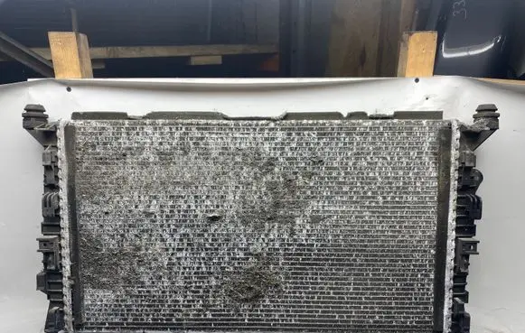 Ford Focus Coolant radiator