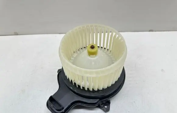 Chevrolet Malibu Heater fan/blower 