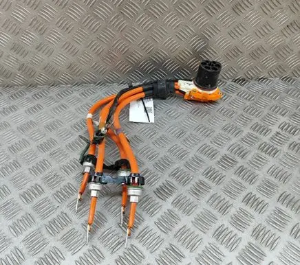 Tesla Model X Other wiring loom 106534810D