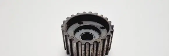 Volkswagen PASSAT B6 Crankshaft position gear 038105263H