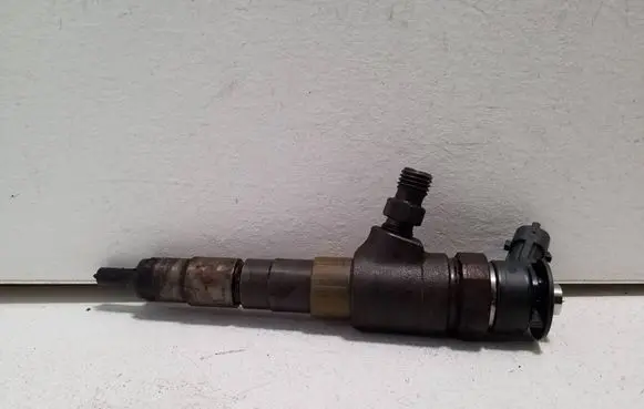 Peugeot Expert Fuel injector 0445110566 027766