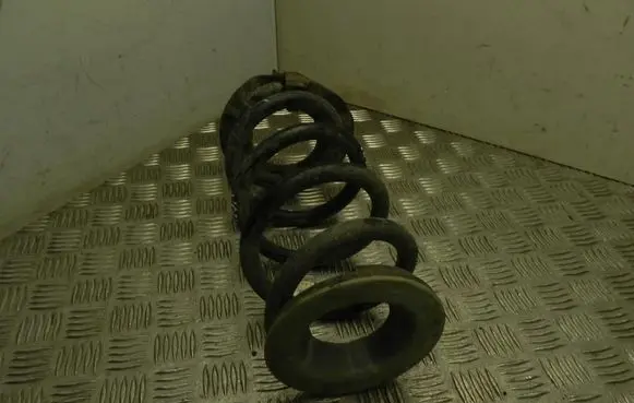 Tesla Model Y Front coil spring 118847400B