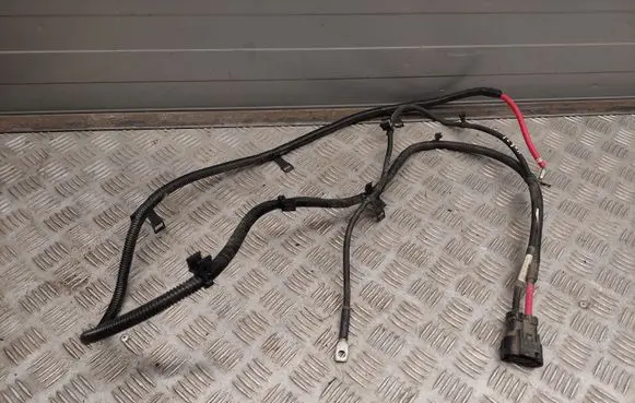 Tesla Model S Other wiring loom 101130100C