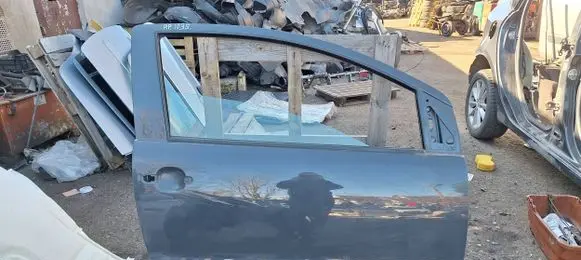 Volkswagen Fox Front door