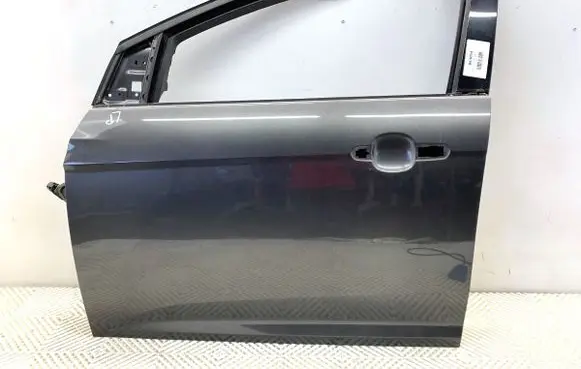Ford Focus Front door 