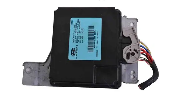 Hyundai Santa Fe Other devices 953002W300