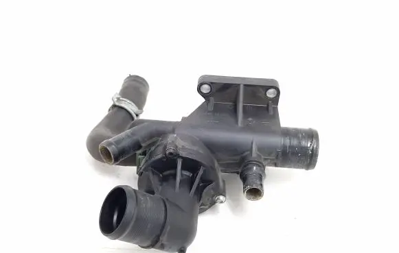 Thermostat/thermostat housing