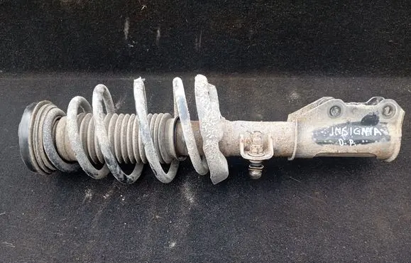 Opel Insignia A Front shock absorber with coil spring 22830756