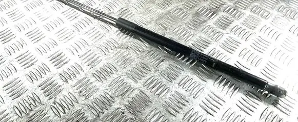Land Rover Evoque I Tailgate/trunk strut/damper BJ32406A10AB