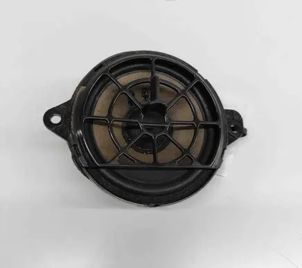 Panel speaker