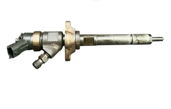 Citroen C4 I Fuel injector 0445110297 620026