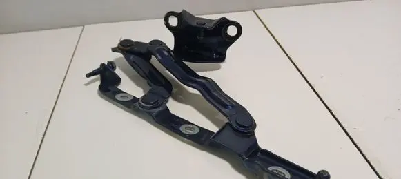 Chrysler 300 - 300C Tailgate/trunk/boot hinge 196AD