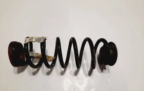 Rear coil spring