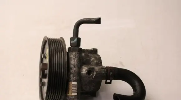 Renault Laguna III Power steering pump 8200319066