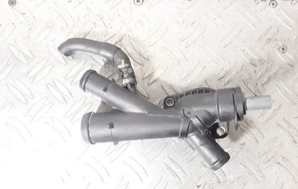 Thermostat/thermostat housing
