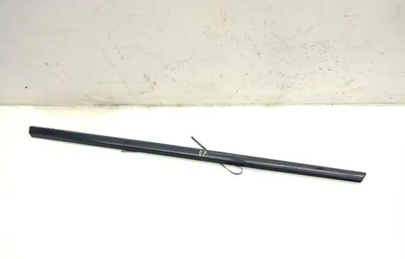 Dodge Grand Caravan Front door trim (molding) 