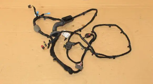 BMW 2 G42 Front door wiring loom 5A30286
