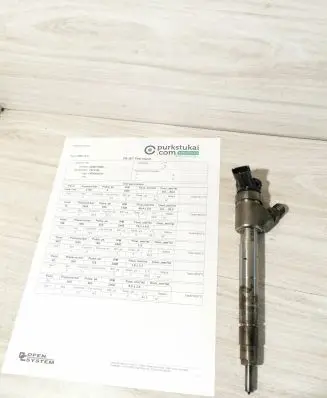 Citroen Jumpy Fuel injector 9828959880 0445110955