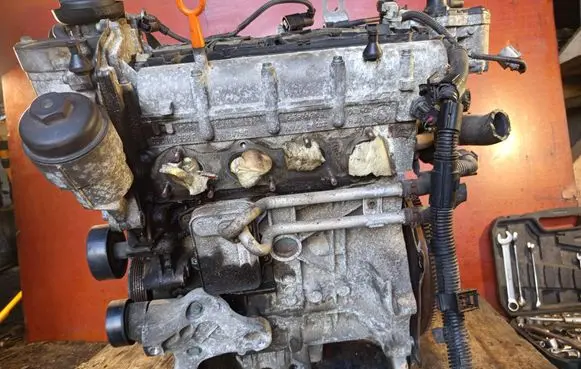 Volkswagen PASSAT B6 Engine BLF
