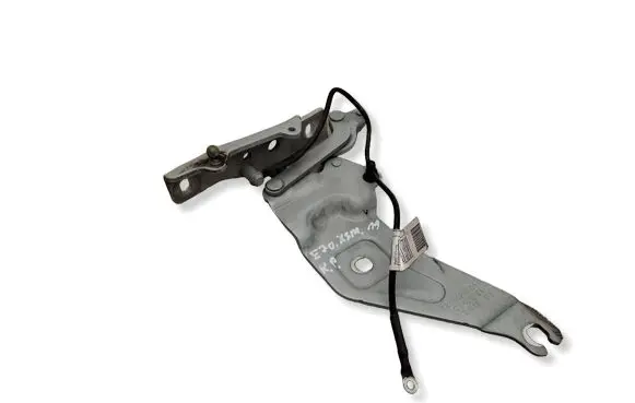 BMW X5M E70 Engine bonnet/hood hinges 7208628