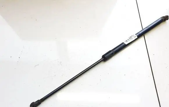 Tailgate/trunk strut/damper