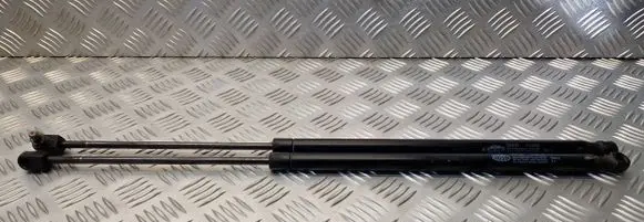 Renault Scenic I Tailgate strut 