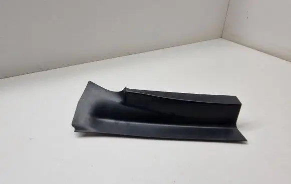 Rear/tail light trim molding