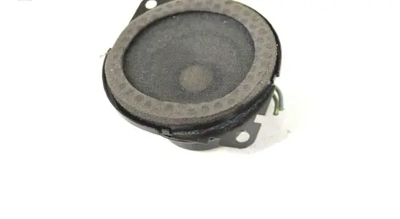 Panel speaker