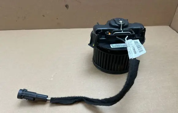 Dacia Duster Heater fan/blower N101507G
