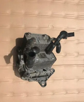 Volkswagen Phaeton Engine oil radiator 3D0409061G
