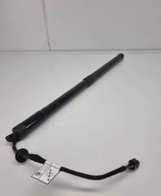 Land Rover Range Rover Sport L494 Tailgate/trunk strut/damper C16896251