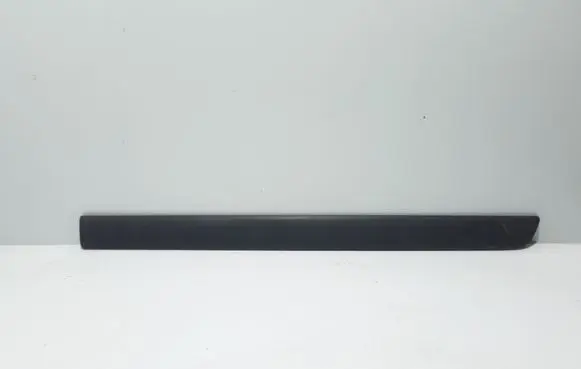 Renault Kangoo II Front door trim (molding) 8200439113