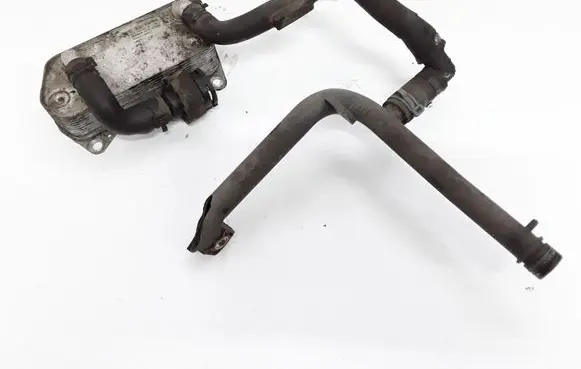 Volkswagen PASSAT B7 Oil filter mounting bracket 02E409061B