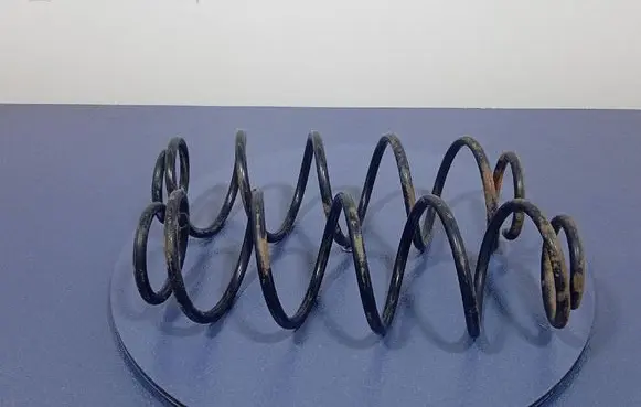 Renault Laguna III Rear coil spring