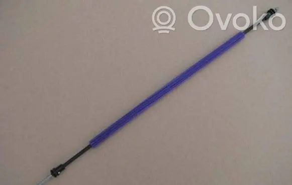 Fiat Tipo Front door cable line 