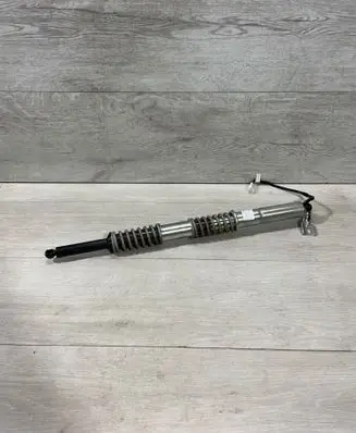 Tailgate/trunk strut/damper