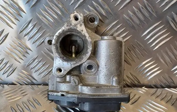 Renault Kangoo II Throttle valve H8201143495 147102557R