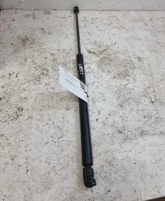 Front bonnet/hood damper/strut