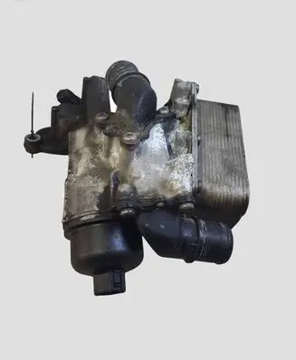Renault Koleos I Oil filter mounting bracket 161FL518